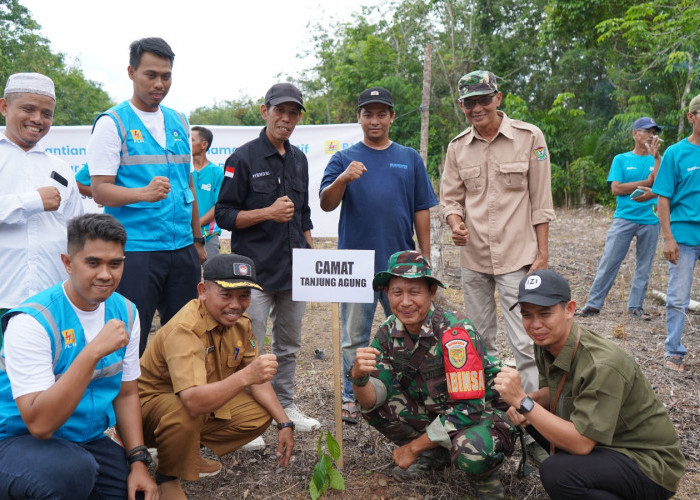 PLN Baturaja Tanam Pohon Produktif di Sepanjang Jalur Transmisi