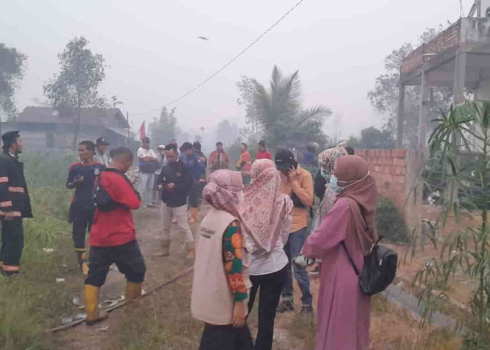 Kebakaran Lahan Gambut di Kelurahan Suka Mulya dan Karya Mulya Kota Palembang Terus Mengancam