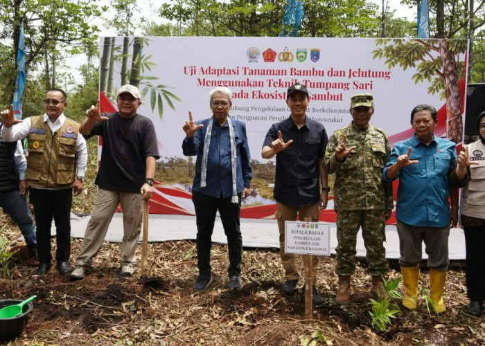 Dua Dekade Bebas Karhutla, Restorasi Lahan Gambut di Sepucuk OKI Jadi Rujukan Nasional