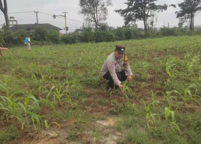 Dorong Warga Tingkatkan Ekonomi Lewat Ketahanan Pangan