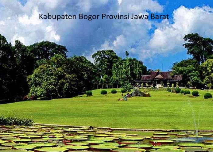 Bogor, Kota Hujan yang Menyimpan Sejuta Pesona Alam dan Fakta Unik di Jawa Barat