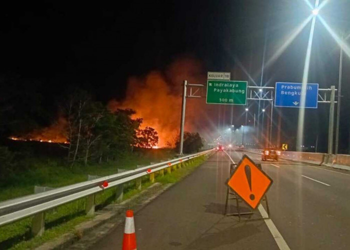 Api Kembali Berkobar di Lahan Semak Belukar Tak Jauh Dari Tol Palindra