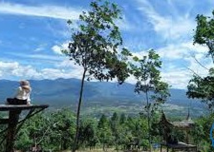 Puncak Koto Panjang, Kabupaten Pasaman: Keindahan Alam dan Wahana Seru Menanti Pengunjung