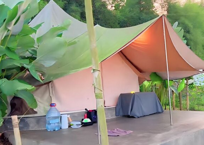 Harga Inap 700 Ribuan, Glamping Wildwoods Camp Puncak Tawarkan 7 Kenyamanan untuk Pengunjung