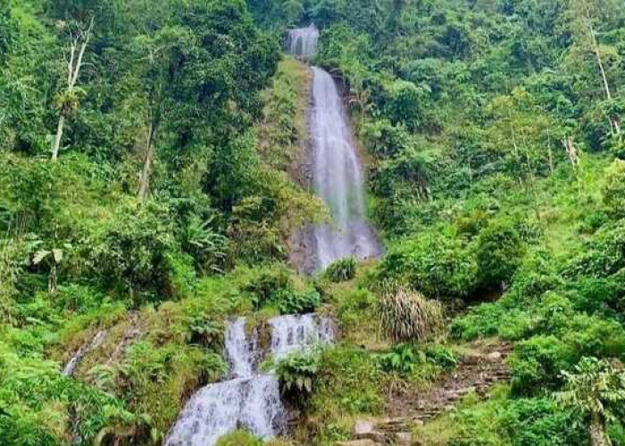 Curug Pletuk, Keindahan Air Terjun yang Terletak di Dalam Hutan yang Memikat