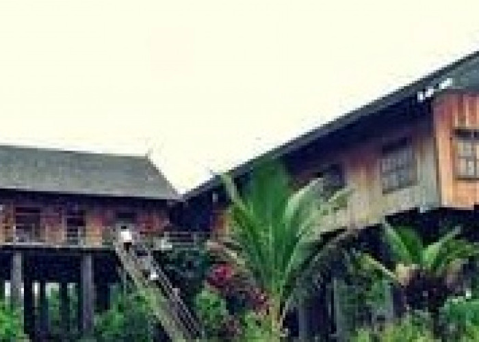 6 Fakta Menarik Kabupaten Katingan Provinsi Kalimantan Tengah, Wisata Budaya hingga Tarian Tradisional