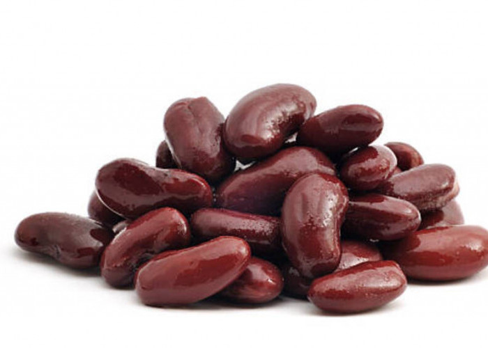 Kacang Merah: Sumber Protein Nabati Berkualitas Tinggi untuk Pertumbuhan dan Kesehatan