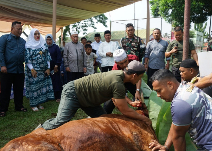 Peduli Masyarakat di Hari Raya Idul Adha 1446 H : Kodim 0402/OKI Sembelih 13 Hewan Kurban