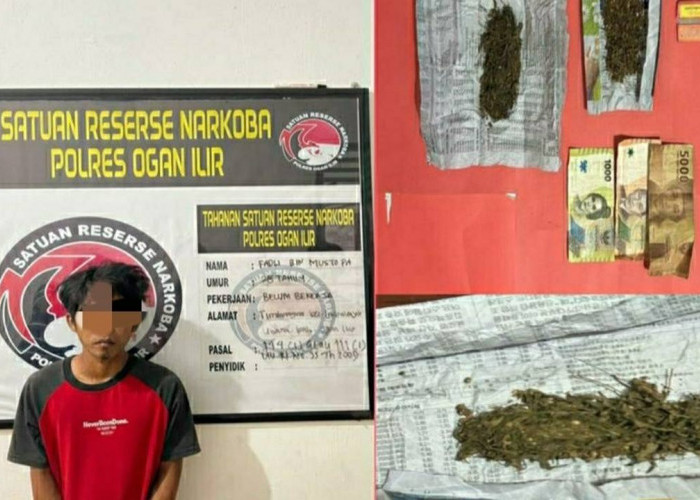 Gagal Edarkan Ganja, Warga Timbangan Indralaya Kini ditangkap Polisi