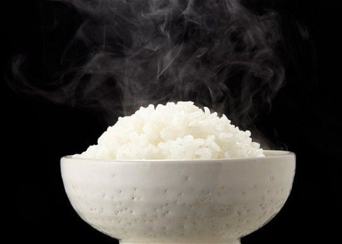Mitos atau Fakta ? Makan Nasi Panas Lebih Menyehatkan, Berikut Referensinya..