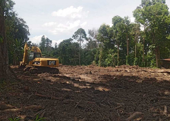 Pertanyakan Proses Pembangunan Jalan Diduga Hauling Batu Bara
