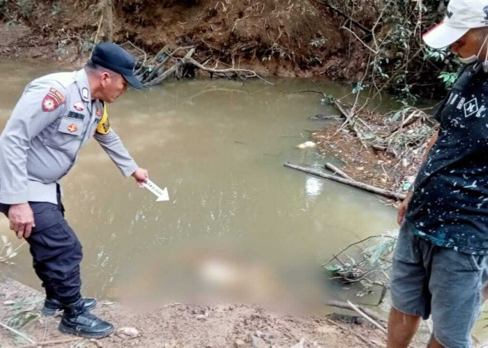 Dua Minggu Menghilang Warga Sindang Marga ditemukan Tinggal Tulang Belulang