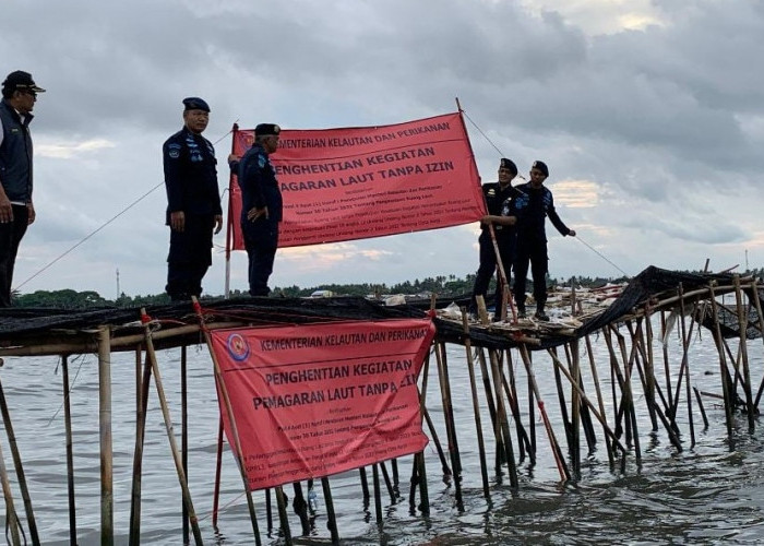 LBH AP PP Muhammadiyah Dukung Kejagung Usut Dugaan Suap Pagar Laut: Itu Kekayaan Negara