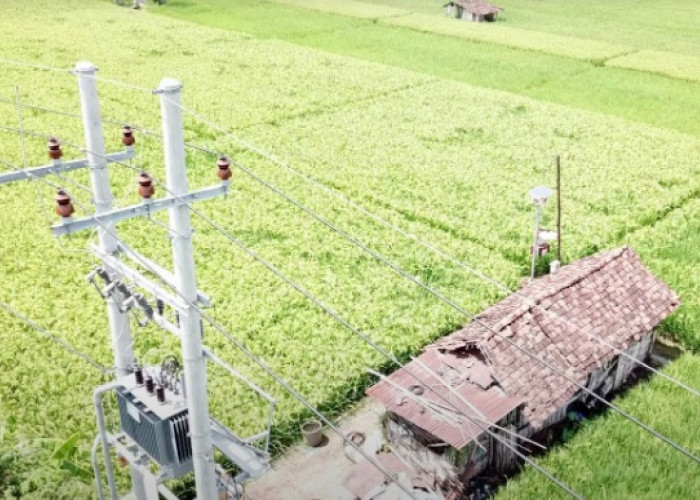 Sukses Menambah Pelanggan, Kunci Membaiknya Kinerja PLN 2023, Terbanyak dari Golongan Rumah Tangga