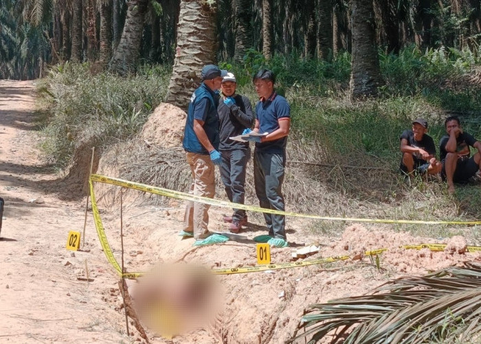 Mayat Pria Ditemukan di Parit Kebun Sawit PT Hindoli Muba, Polisi Selidiki Dugaan Jasad Sengaja Dibuang