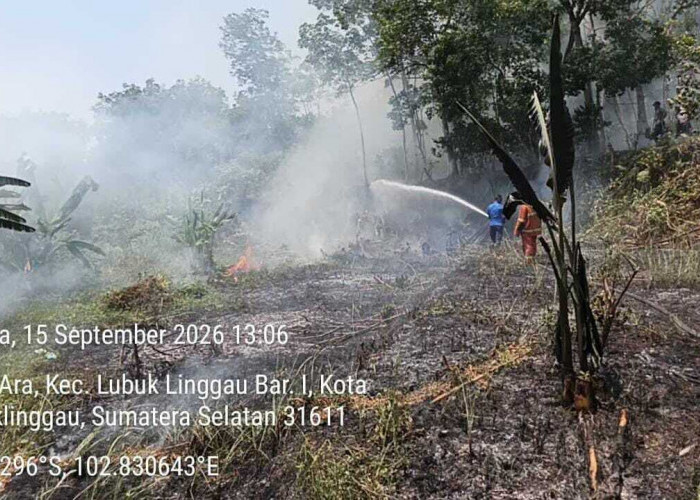 54 Kali Karhutla Terjadi di Lubuklinggau, 22 Hektare Lahan Terbakar