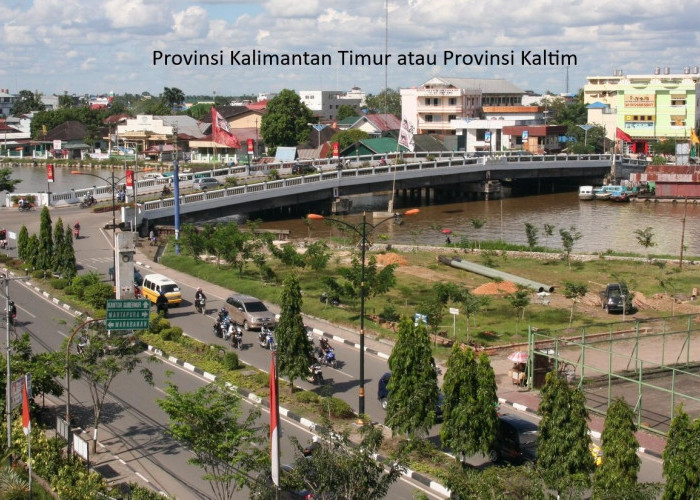 Rencana Pemekaran Wilayah: Perubahan Signifikan di Provinsi Kalimantan Timur dan Implikasinya