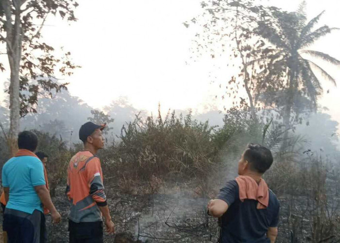 Karhutla Melanda 10 Hektare Lahan Pemadaman Terkendala Akses dan Sumber Air