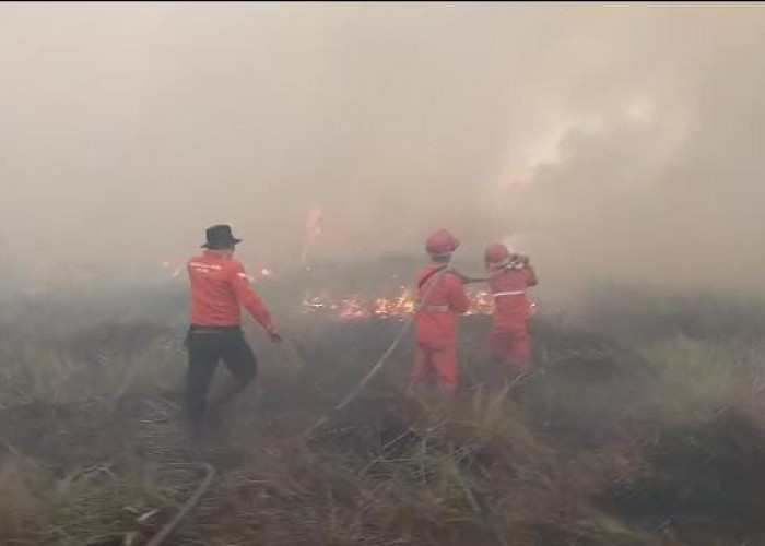 Kebakaran Lahan Terjadi di Ulak Tangisan, Ogan Ilir: Petugas Berjibaku Padamkan Api