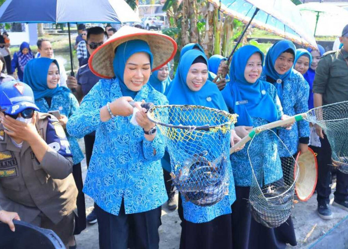 Ketua TP PKK Sumsel Feby Herman Deru Dorong Pemanfaatan Lahan Irigasi untuk Tingkatkan Ekonomi Keluarga