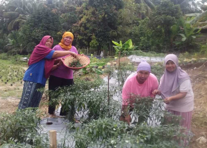 EcoGrow Mom PTBA, Wujud Nyata Pemberdayaan Perempuan Berbasis Urban Farming di Tanjung Karangan