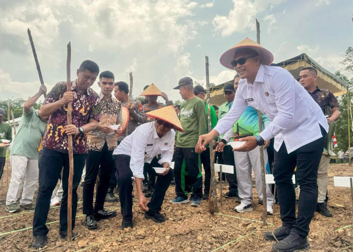 Luncurkan Program Ketahanan Pangan 2025, Walikota Prabumulih Tanam Jagung di Desa Talang Batu