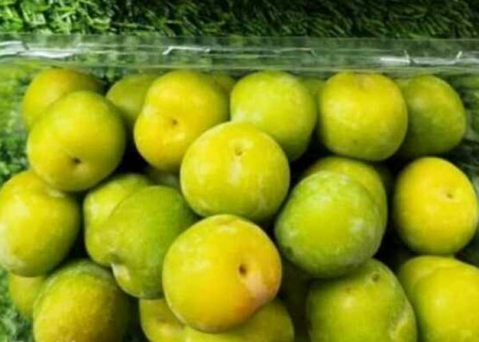 Manfaat Luar Biasa Buah Plum Hijau untuk Kesehatan