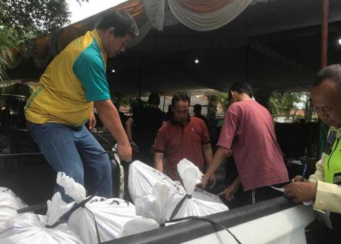 Idul Adha 1446 H, PHR Zona 4 Bagikan Ratusan Hewan Kurban kepada Warga Ring I Operasi 