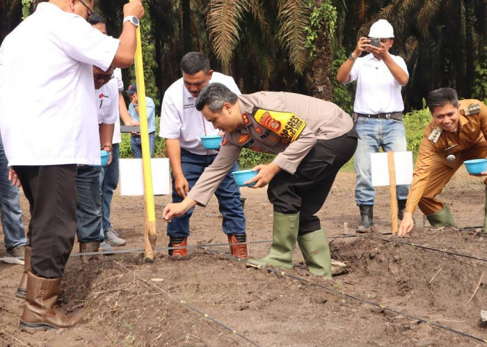 Dukung Ketahanan Pangan Tanam Jagung Seluas 1 Hektar 