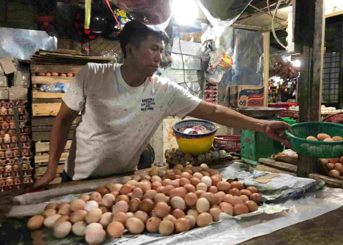 Telur dan Ayam Naik Lagi Pedagang di Palembang Mengeluh Sepi Pembeli