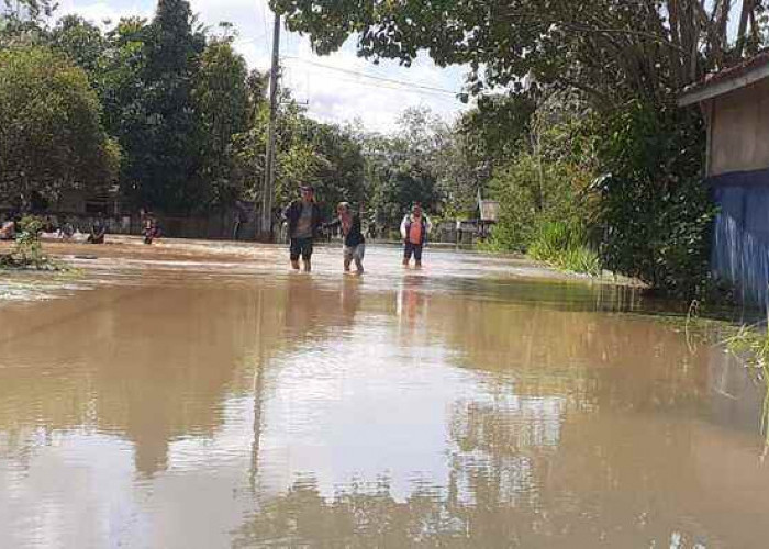 Enam Jam Diguyur Hujan, Ratusan Rumah Warga Kota Lubuklinggau Terendam Banjir