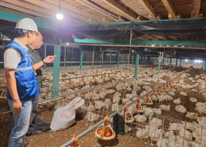Utamakan Daya Beli Masyarakat, Pemerintah Jaga Tarif Listrik Tetap Terjangkau Sepanjang 2025