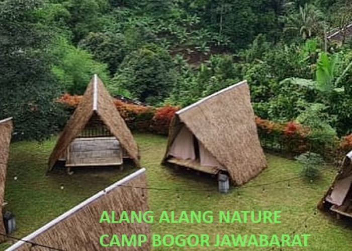 Rasakan Kenikmatan Tidur di Tenda Alang-Alang: Alang-Alang Nature Camp Bogor, Pemandangannya Nggak Bikin Bosan
