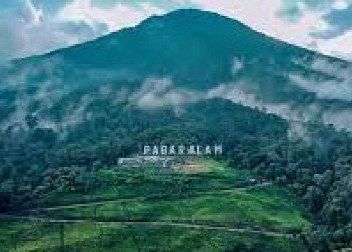 Provinsi Palapa Selatan: Wacana Pemekaran yang Mendebarkan di Sumatera Selatan
