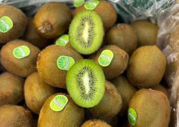 Keistimewaan Buah Kiwi : Manfaat, Asal Usul, dan Peranannya dalam Kesehatan