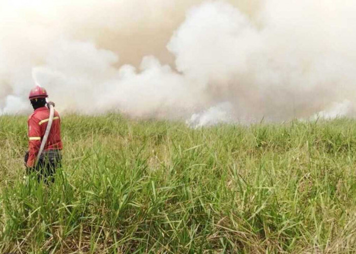 Puluhan Personel dan Excavator Dikerahkan, PT RHM Kendalikan Kebakaran Lahan