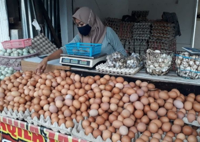 Harga Telur Ayam Ras di Baturaja Tembus Rp32.000 Per Kilogram