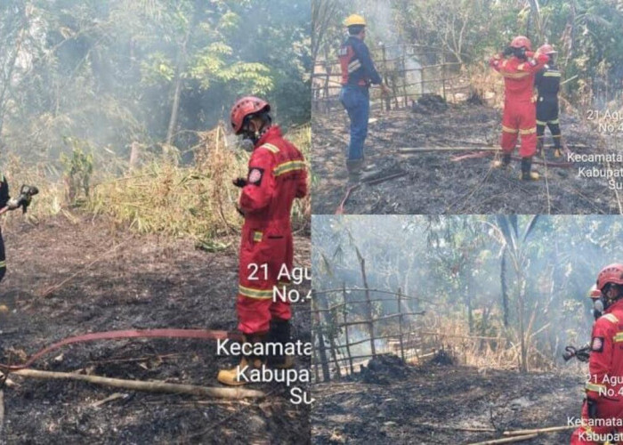 PTBA Aktif Bantu Penanganan Karhutla, Perkuat Respons Cepat dan Kolaborasi