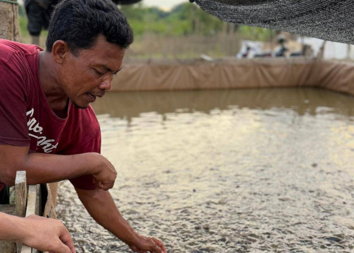 Pertamina Perkuat Adaptasi Iklim melalui Sistem Pangan Terintegrasi di Kelurahan Kasang, Jambi