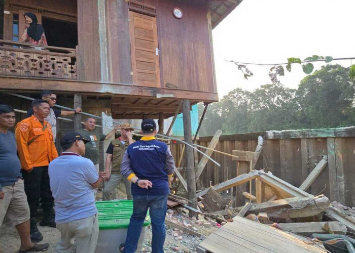 Rumah Warga Longsor di Lais, Bupati HM Toha Perintahkan Penanganan Darurat dan Bantuan Korban