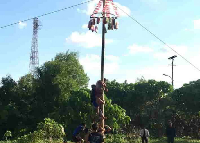 Panjat Pinang Jadi Salah Satu Lomba Kemeriahan HUT RI di Palembang