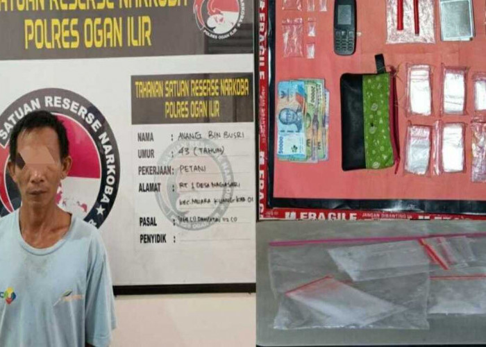 Pengedar Barang Haram di Desa Nagasari Diciduk Polisi, 9 Paket Barang Bukti Berhasil Diamanakan
