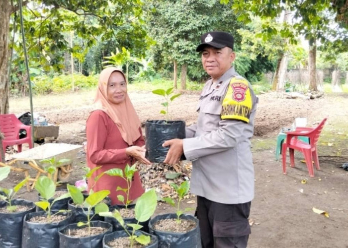 Kontrol Pemanfaatan Pekarangan Rumah untuk Ketahanan Pangan