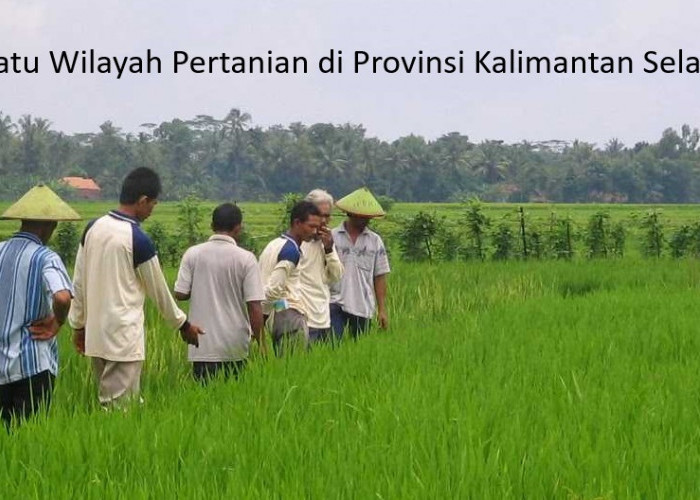 Potret Ekonomi dan Ketenagakerjaan Kalimantan Selatan: Dari Pertanian Hingga Industri