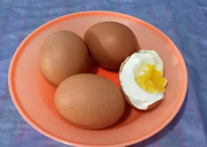 Wow Ternyata Telur Rebus Bermanfaat Untuk Kesehatan, Salah Satunya Untuk Mengatasi Kanker Payudara