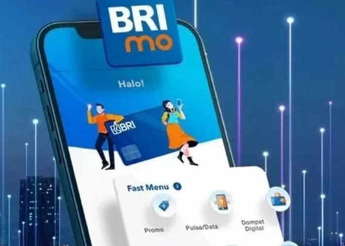 Bayar Tagihan PDAM Lewat BRImo, Tak Lagi Harus ke Kantor dan Takut Telat Tiap Bulannya 