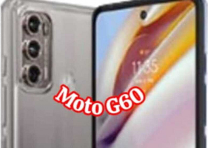 Moto G60: Ponsel Pilihan untuk Fotografi Serius dan Gaming yang Mengesankan