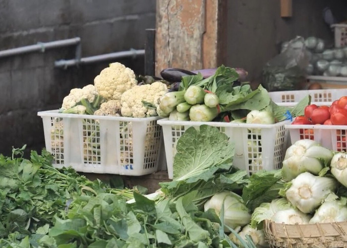 Mengenal Desa BRILian Sumowono, Desa Sayur yang Tumbuh dan Terus Berinovasi Bersama BRI 