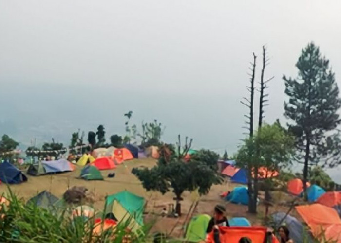 Camping Ground Megamendung Puncak Bogor, Liburan Ramai-Ramai di Tengah Alam Hadirkan Sensasi Berbeda