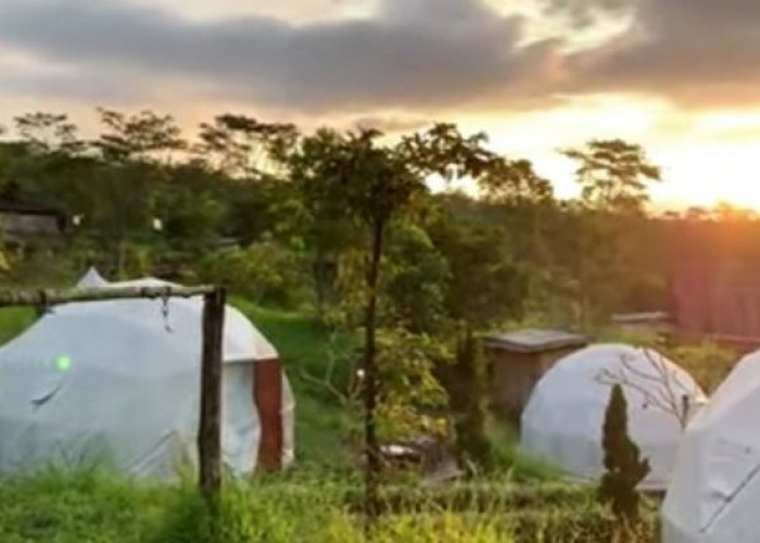 Pallatina Glamping Yogyakarta, Destinasi Wisata Terbaru dengan 7 Kelebihan yang Menggoda